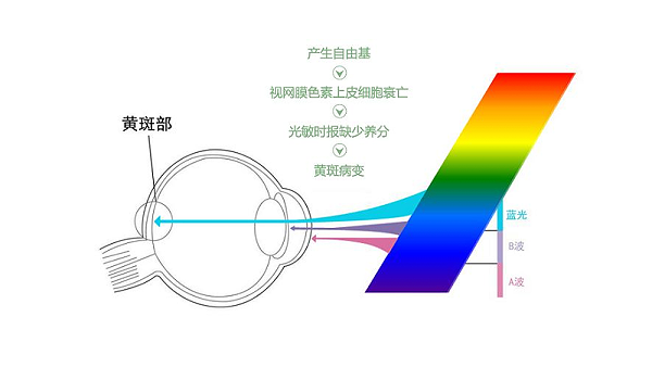 爱视立蓝光